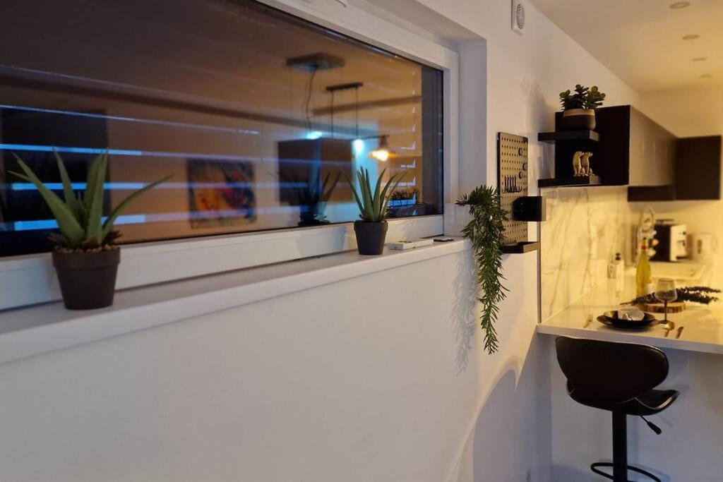 Apartment Prestige Neuf Avec Et Ecran De Cinema En Rez De Jardin *