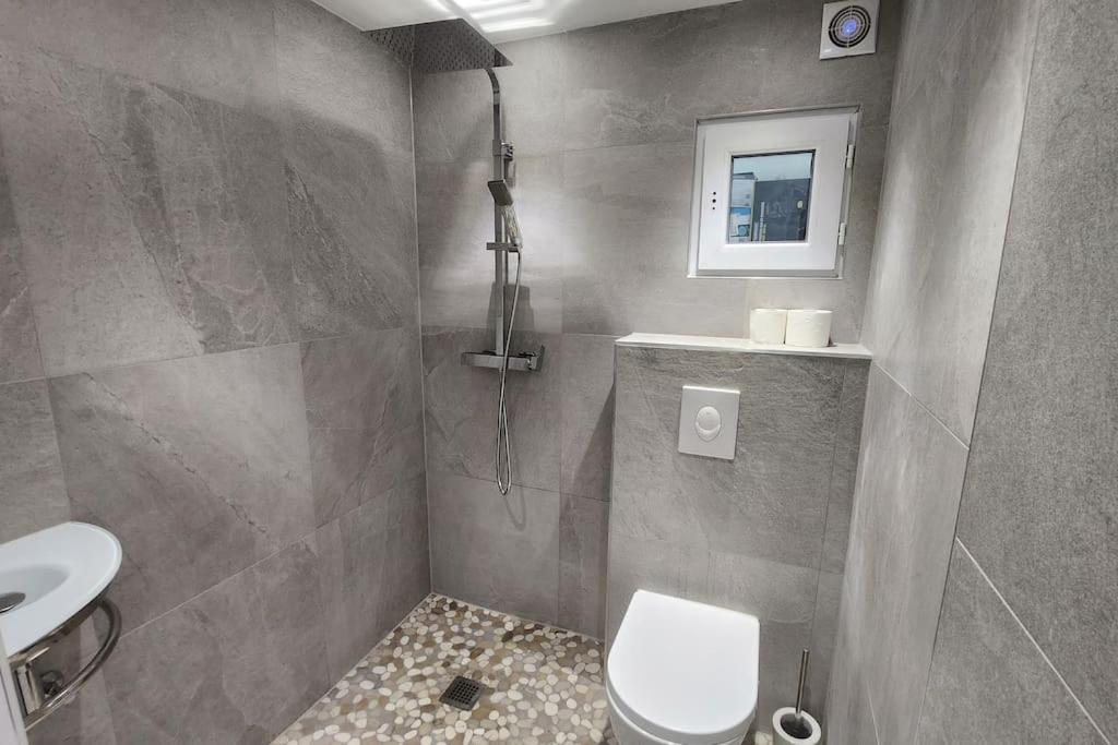 Apartment Prestige Neuf Avec Et Ecran De Cinema En Rez De Jardin Colmar