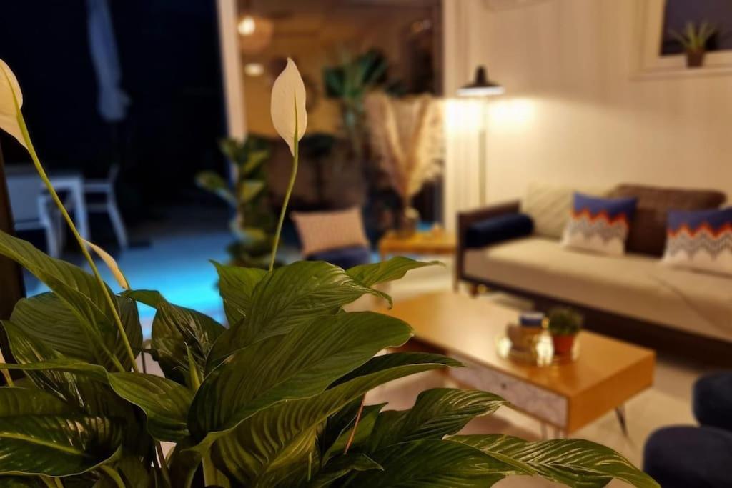Apartment Prestige Neuf Avec Et Ecran De Cinema En Rez De Jardin *