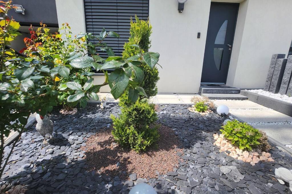 Prestige Neuf Avec Et Ecran De Cinema En Rez De Jardin Apartment