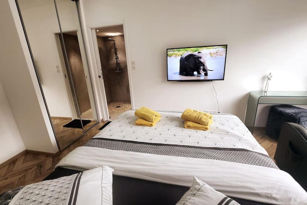 Prestige Neuf Avec Et Ecran De Cinema En Rez De Jardin Colmar