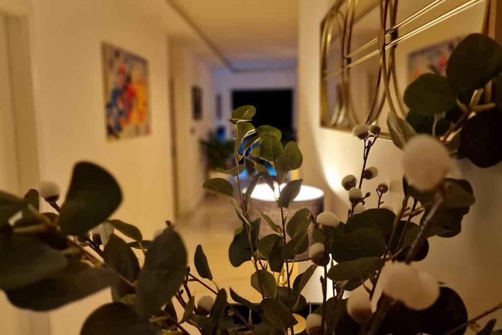Prestige Neuf Avec Et Ecran De Cinema En Rez De Jardin Apartment Colmar