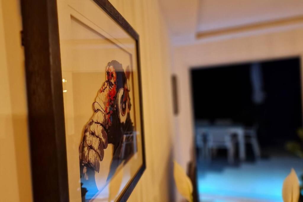 Apartment Prestige Neuf Avec Et Ecran De Cinema En Rez De Jardin